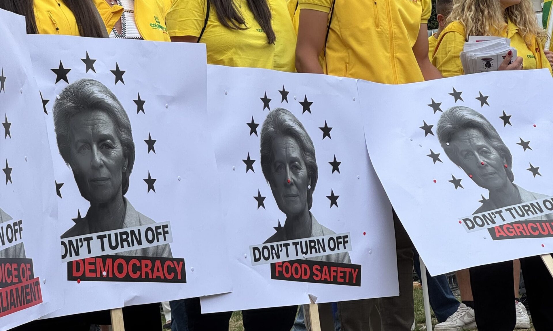 IMG_7909-min IMG_7909-min