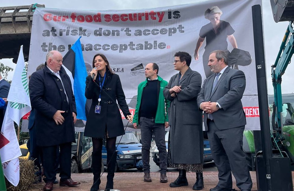 IMG_AFA4FEEDB803-1 IMG_AFA4FEEDB803-1